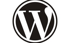 WordPress most popular website in India