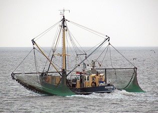 Commercial fishermen scariest job