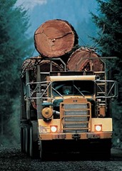 Loggers and Lumberjacks scariest job