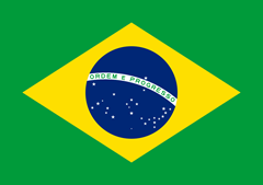 Brazil possible country for FIFA 2014