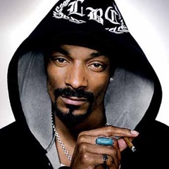 Snoop Dogg richest singer