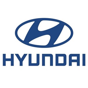 Hyundai Brands to Promote FIFA Cup 2014