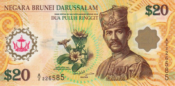 Bruneian Dollar expensive currency