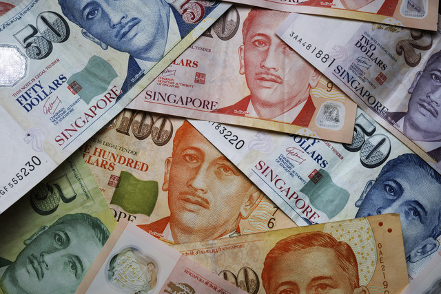 Singapore Dollar most expensive currency